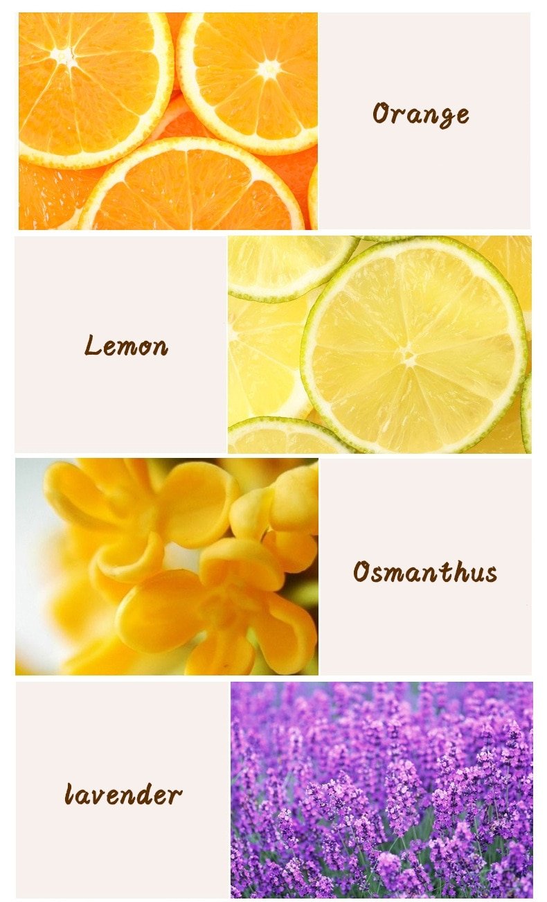 Laconic Design Car Air Freshener Laconic Design Car Air Freshener