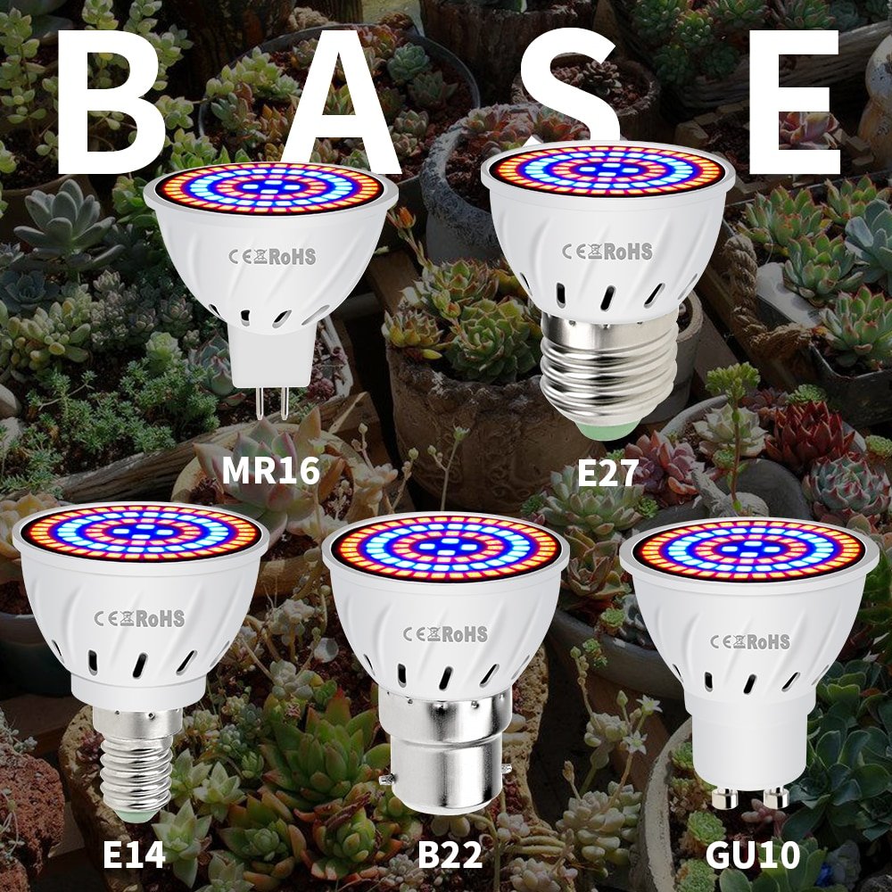 Hydroponic LED Grow Bulb with Different Base Hydroponic LED Grow Bulb with Different Base