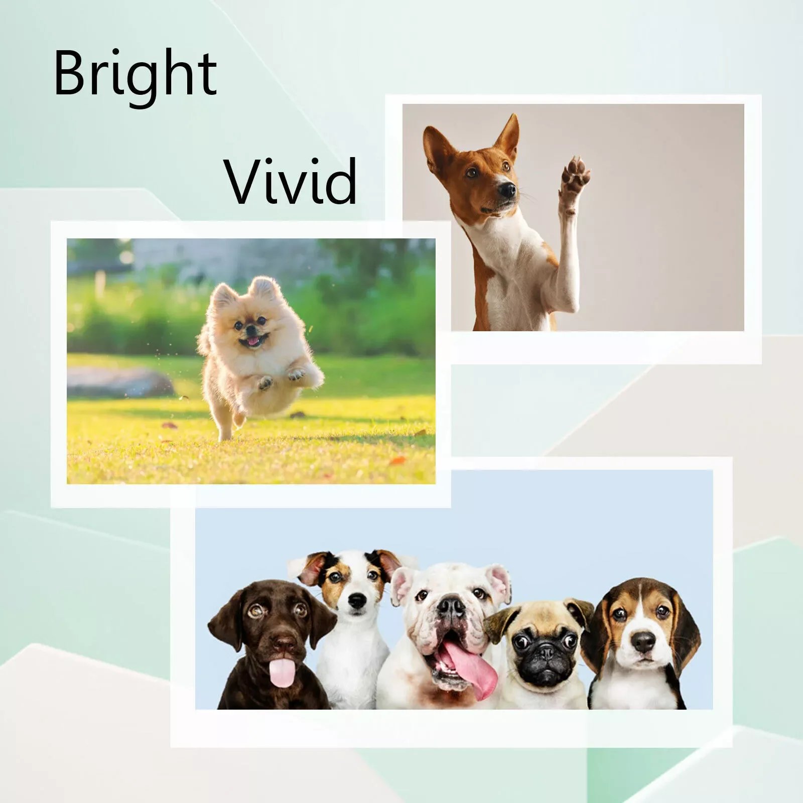 NEW 4PK 952XL Ink Cartridge for HP 952 XL Officejet Pro 8210 8715 8702 8734 8745