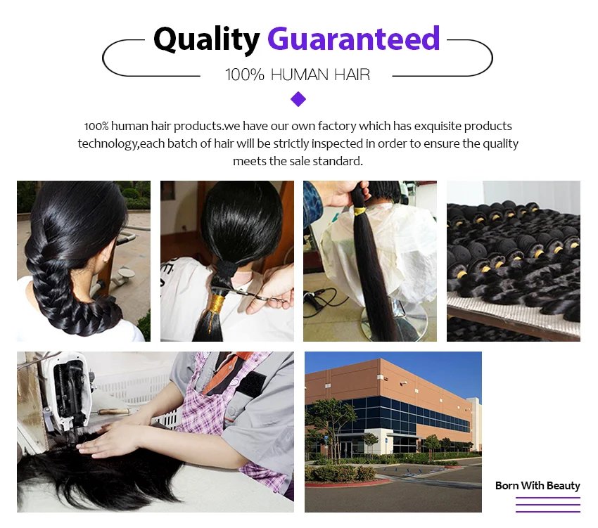 Lemoda 210% Density 13x6 Full Frontal Virgin Human Hair Wigs Body Wave HD Transparent Lace Front Wigs Pre Plucked Brazilian 12A Lemoda 210% Density 13x6 Full Frontal Virgin Human Hair Wigs Body Wave HD Transparent Lace Front Wigs Pre Plucked Brazilian 12A