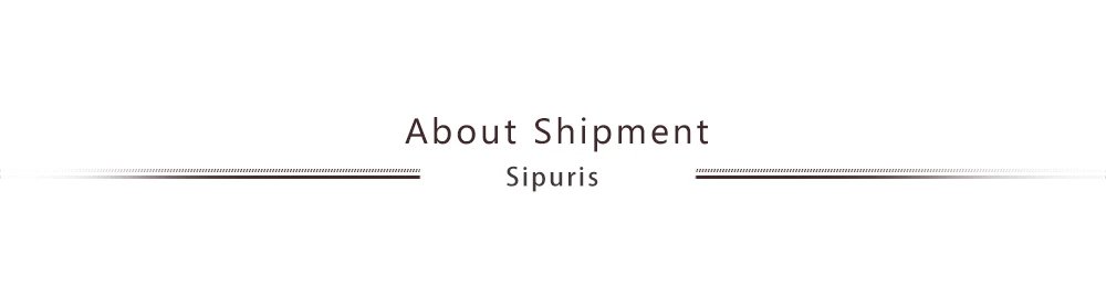 Sipuris Hot Fashion Custom Name Bracelet for Women Stainless Steel Personalized Bracelet Jewelry Bangle Femme Customized Gifts Sipuris Hot Fashion Custom Name Bracelet for Women Stainless Steel Personalized Bracelet Jewelry Bangle Femme Customized Gifts