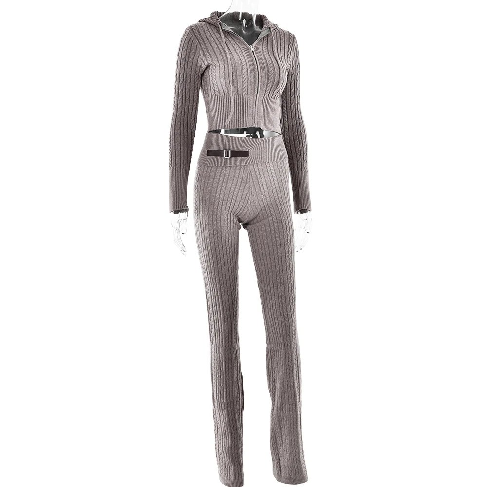 Fantoye Knitted Long Sleeve Zipper Hooded Women Two Piece Sets Thicken Sweater Skinny Long Pant Suit Solid Casual Sweatshirt Set Fantoye Knitted Long Sleeve Zipper Hooded Women Two Piece Sets Thicken Sweater Skinny Long Pant Suit Solid Casual Sweatshirt Set
