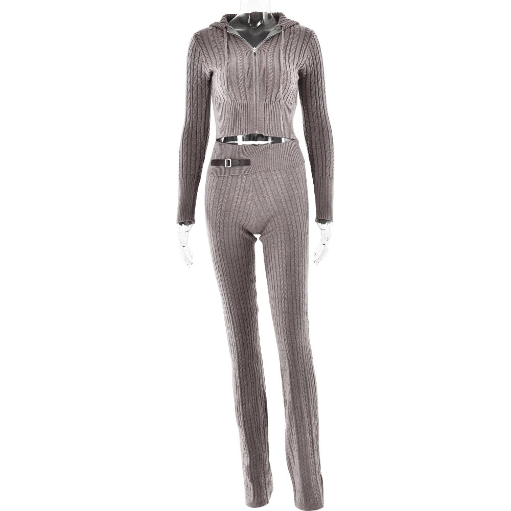 Fantoye Knitted Long Sleeve Zipper Hooded Women Two Piece Sets Thicken Sweater Skinny Long Pant Suit Solid Casual Sweatshirt Set Fantoye Knitted Long Sleeve Zipper Hooded Women Two Piece Sets Thicken Sweater Skinny Long Pant Suit Solid Casual Sweatshirt Set